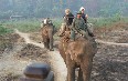 Safari in Nepal  写真