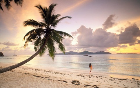 Отдых на Сейшелах позволяет насладиться первозданной природой этих островов.
