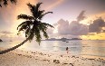 Seychelles, nature 写真