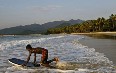 Sierra Leone, resort 写真