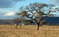 Swaziland Images