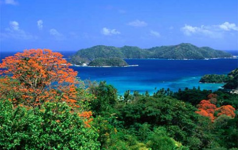 Tobago, nature: video, popular tourist places, Satellite map, Images - and Tobago , Tours TV