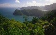 Tobago, nature 写真
