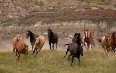 Alberta by Horseback 写真