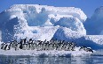 Антарктида Фото