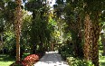Остров Китченера и Асуанский ботанический сад Фото