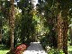 Kitchener's Island and Aswan Botanic Garden