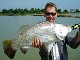 Barramundi Fishing in Queensland (أستراليا)