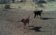 Bear Creek Off-Leash Dog Park صور