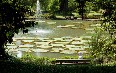 Bogor Botanical Gardens 图片