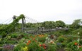 Ботанический сад Кривой Рог Фото