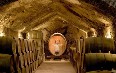 Buena Vista Winery Images