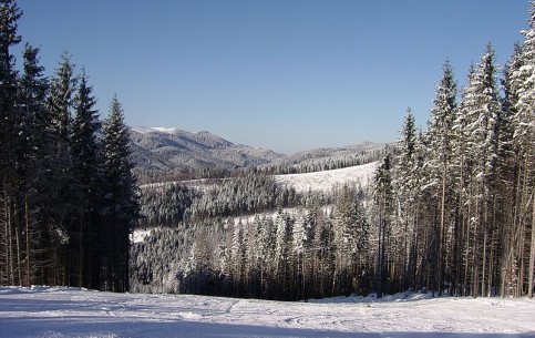  Ivano-Frankivsk:  Ukraine:  
 
 Bukovel Ski-resort