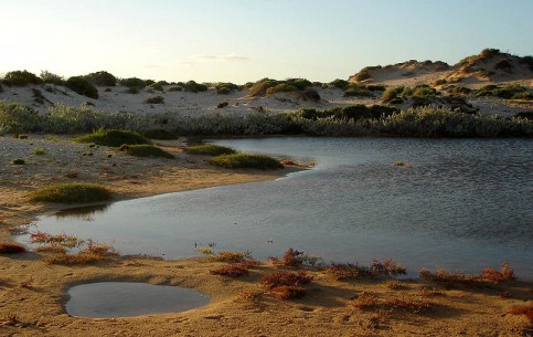 Нацпарк Кейп-Рендж на полуострове Норт-Уэст-Кейп, славится своими живописными ущельями, девственными песчаными пляжами и коралловым рифом Нингалу
