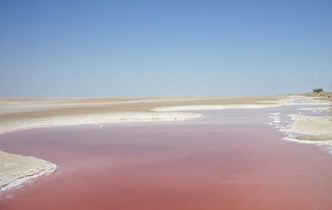 Одна из природных достопримечательностей Туниса - гигантское соленое озеро Шотт-эль-Джерид, по краям которого располагаются зеленые пальмовые оазисы