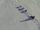 Dog Sledding in Spitsbergen