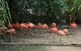 Dominican Republic Nature 图片