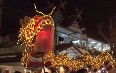 Dragon Dance in Chiang Mai  صور