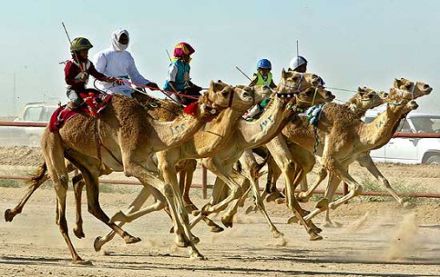  Dubai:  United Arab Emirates:  
 
 Dubai Camel Race