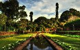 Ботанические сады Дурбана Фото