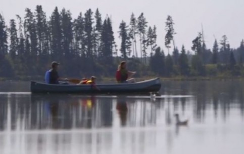  Alberta:  カナダ:  
 
 Elk Island National Park