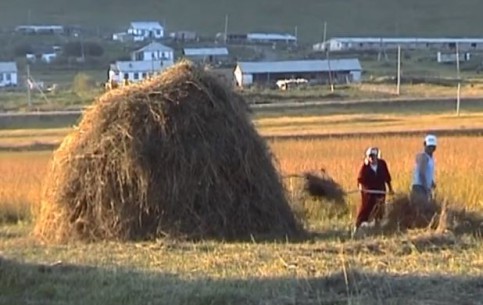  キルギス:  
 
 Farmers of Kyrgyzstan