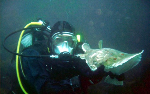 Crystal-clear coastal waters and numerous remains of sunken ships make Faroes a popular diving place; the islands are noted also for excellent lake and sea fishing