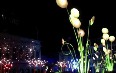 Festival of Lights in Lyon 写真
