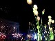 Festival of Lights in Lyon (フランス)