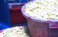 Фруктовые чипсы на острове Джава Фото
