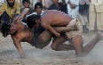 Gambian Wrestling Images