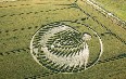 Crop circle, England 图片
