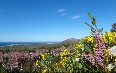 Grootbos Private Nature Reserve Images