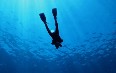 Hainan Diving  写真