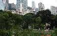 Гонконгский парк Фото