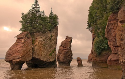  新不倫瑞克:  加拿大:  
 
 Hopewell Rocks