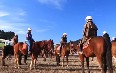 Horseback Vineyard Tours Images