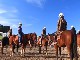 Horseback Vineyard Tours