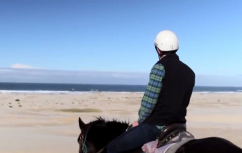 В последнее время все более и более популярными у поклонников активного отдыха становятся конные прогулки по широким песчаным пляжам Порт-Стивенса