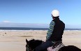 Horseriding in Port Stephens 写真