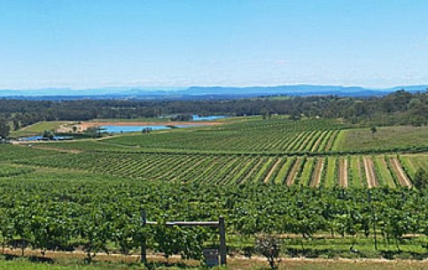 Старейшая и известнейшая винодельческая долина Hunter Valley, находящаяся недалеко от Сиднея, является одним из главных туристических регионов Нового Южного Уэльса