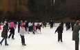 Ice Skating in Central Park Images