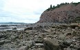 Скалы с окаменелостями в Джоггинсе Фото