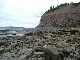 Joggins Fossil Cliffs (カナダ)