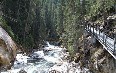 Johnston Canyon 写真