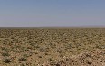 克孜勒库姆沙漠 图片