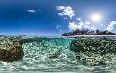 Lady Elliot Island Images