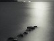 Narach Lake Narach Lake