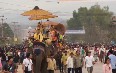Лаосский Фестиваль слонов Фото