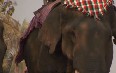 Фестиваль слонов с Лаосе Фото